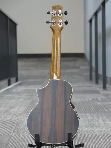 Ibanez - Ukul�l� concert � pan coup� UEW13MEE EW, �b�ne de Macassar avec �lectronique - Pores ouverts marron fonc� 2