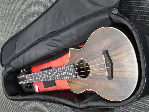 Ibanez - Ukul�l� concert � pan coup� UEW13MEE EW, �b�ne de Macassar avec �lectronique - Pores ouverts marron fonc� 2