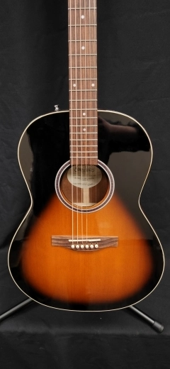 Simon and Patrick - Pro Folk Burst 2