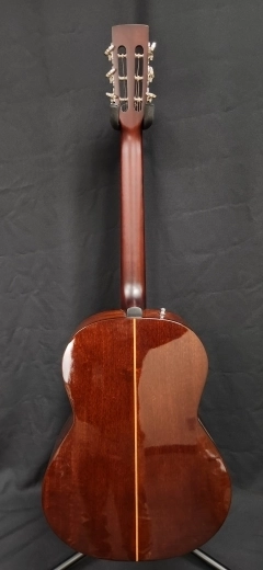 Simon and Patrick - Pro Folk Burst 4