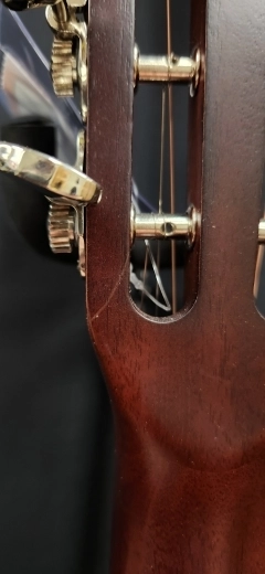 Simon and Patrick - Pro Folk Burst 5