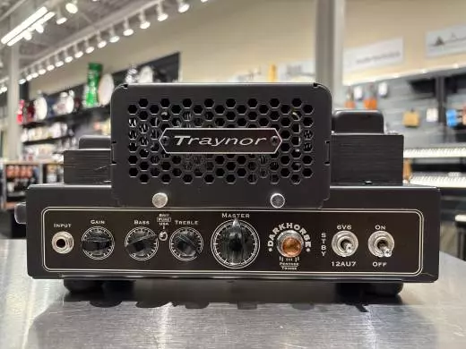 Traynor - Darkhorse 15w Head