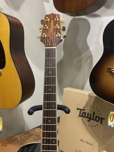 Ibanez G Series - Acoustic 2