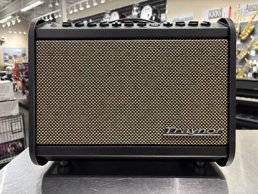 Store Special Product - Traynor - AMMINI