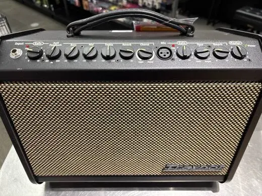 Store Special Product - Traynor - AMMINI