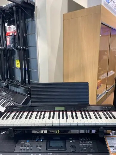 Roland - GO-61P