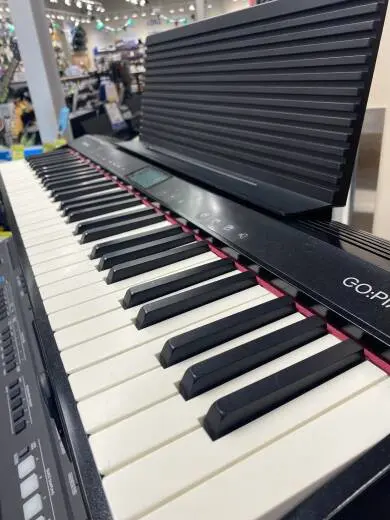 Roland - GO-61P 2