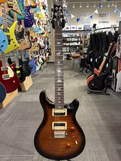 PRS Guitars - 107993::BG: