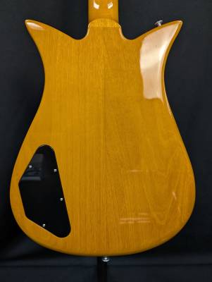Gibson - Theodore Standard - Antique Natural 2
