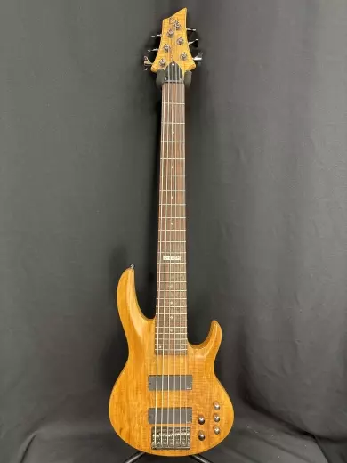 ESP - LTD B-416 Six String Electric Bass