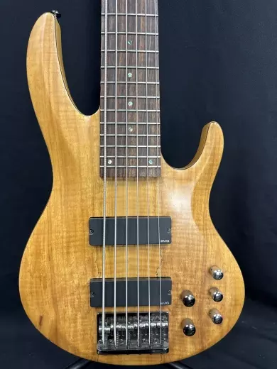 ESP - LTD B-416 Six String Electric Bass 2