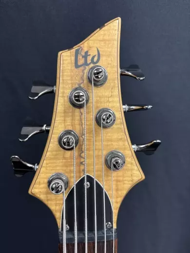 ESP - LTD B-416 Six String Electric Bass 3