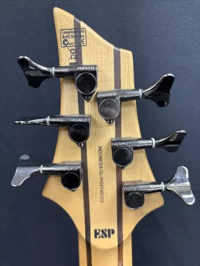 ESP - LTD B-416 Six String Electric Bass 6