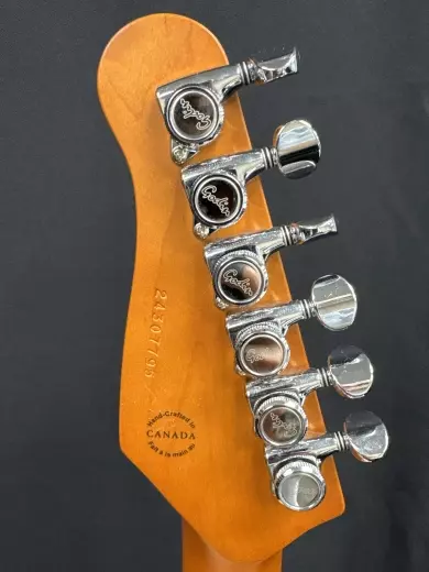 Godin Guitars - Session T-Pro 2