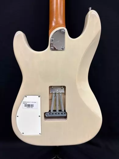 Godin Guitars - Session T-Pro 2