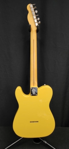 Fender - Britt Daniels Thinline Telecaster 3