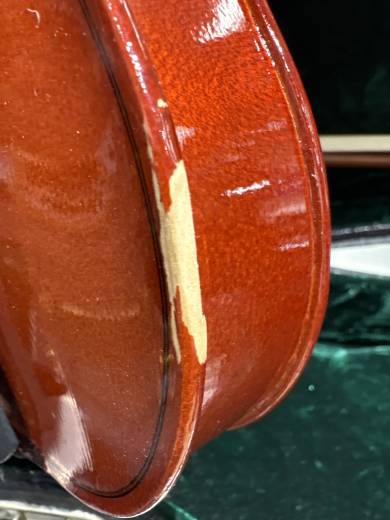 Store Special Product - Schoenbach - 1/4 Violin Outfit