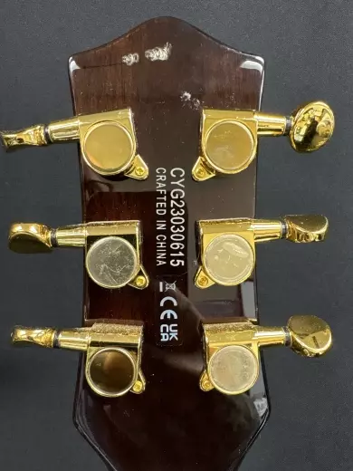 Gretsch Guitars - G5227TG 5