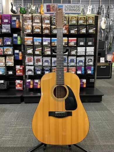 Fender G-II 12 String Acoustic Guitar 2
