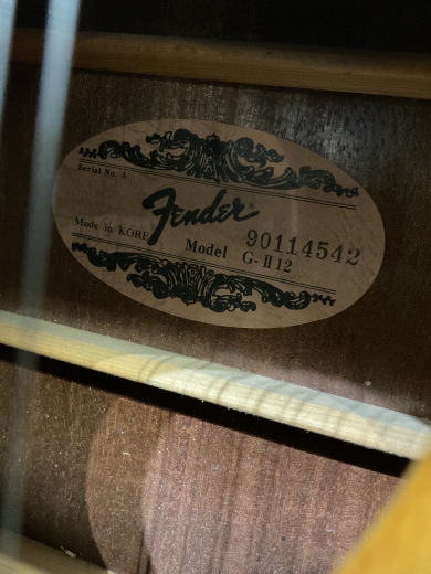 Fender G-II 12 String Acoustic Guitar 2