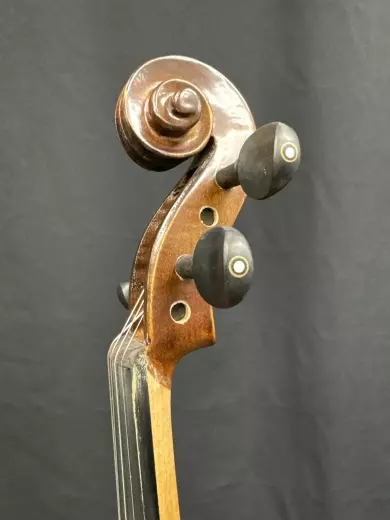 Menzl -MDN750F Violin 2