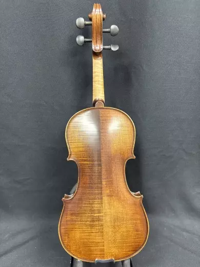 Menzl -MDN750F Violin 2
