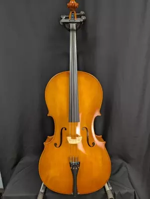 Eastman Strings - VC80ST 4/4 Cello OF