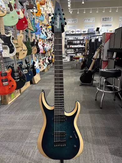 Jackson Guitars - Pro Plus DK