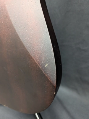 Ibanez - GIO RG - Walnut Flat 7
