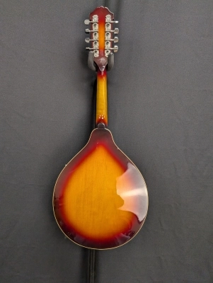 Washburn M1K Mandolin 4