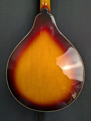 Washburn M1K Mandolin 5