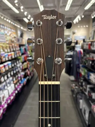 Taylor Guitars - 110E 2