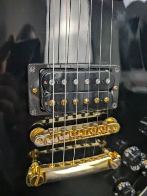 Gibson - Les Paul Custom Axcess 2