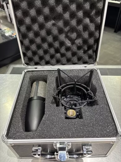 AKG - P220