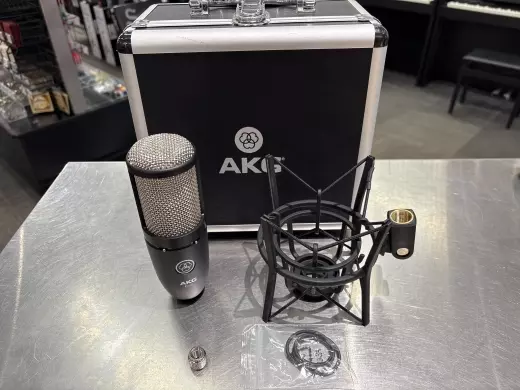 AKG - P220 2