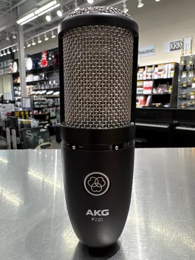 AKG - P220 3