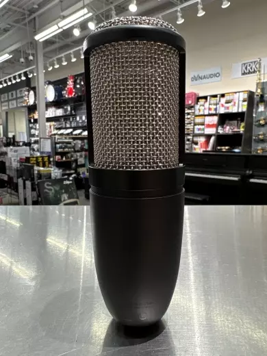 AKG - P220 4