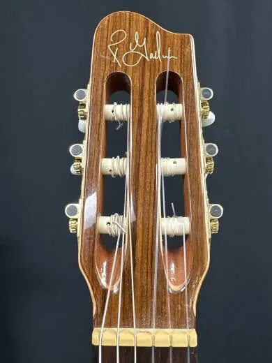 Godin Guitars - Concert CW 2