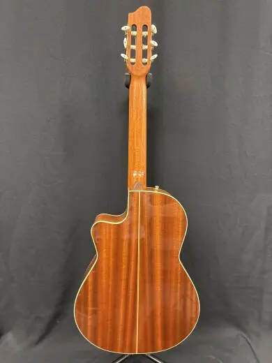 Godin Guitars - Concert CW 2