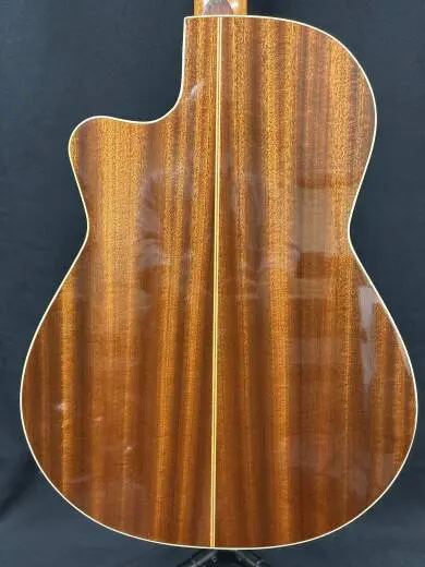 Godin Guitars - Concert CW 2