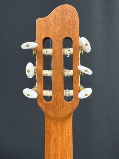 Godin Guitars - Concert CW 2