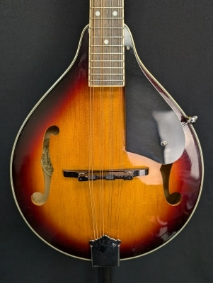 Washburn M1K Mandolin 2