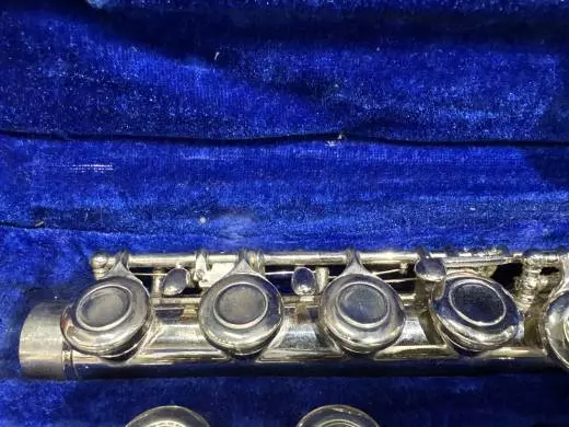 Andre Bardot Flute 2