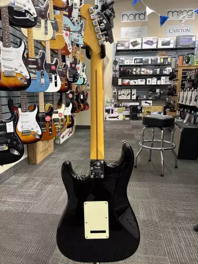 Fender - American Pro II Stratocaster 2