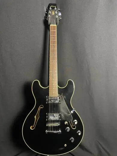 Aria Pro II Ebony w/Case