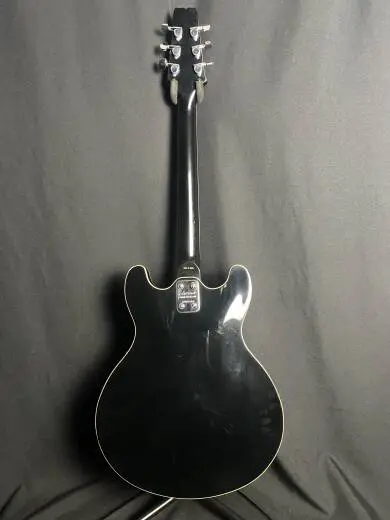 Aria Pro II Ebony w/Case 2