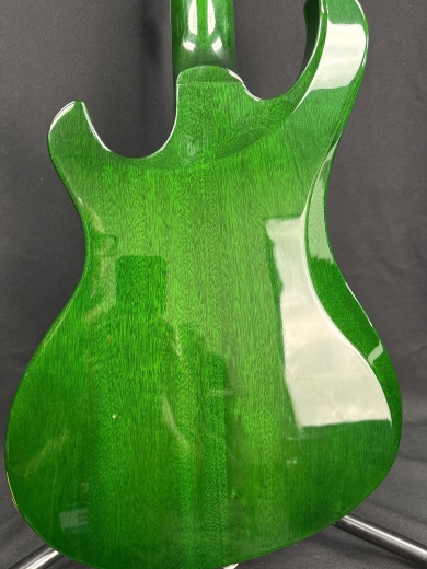 Gibson Victory - Iguana Burst 2
