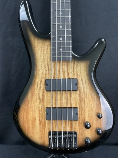 Ibanez - Gio SR5 - Natural Gray Flat 2