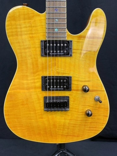 Fender - SE Custom Tele 3