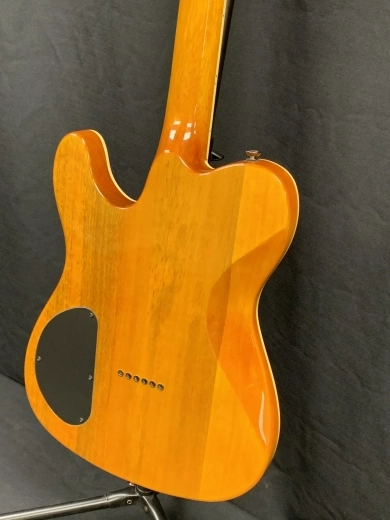 Fender - SE Custom Tele 4